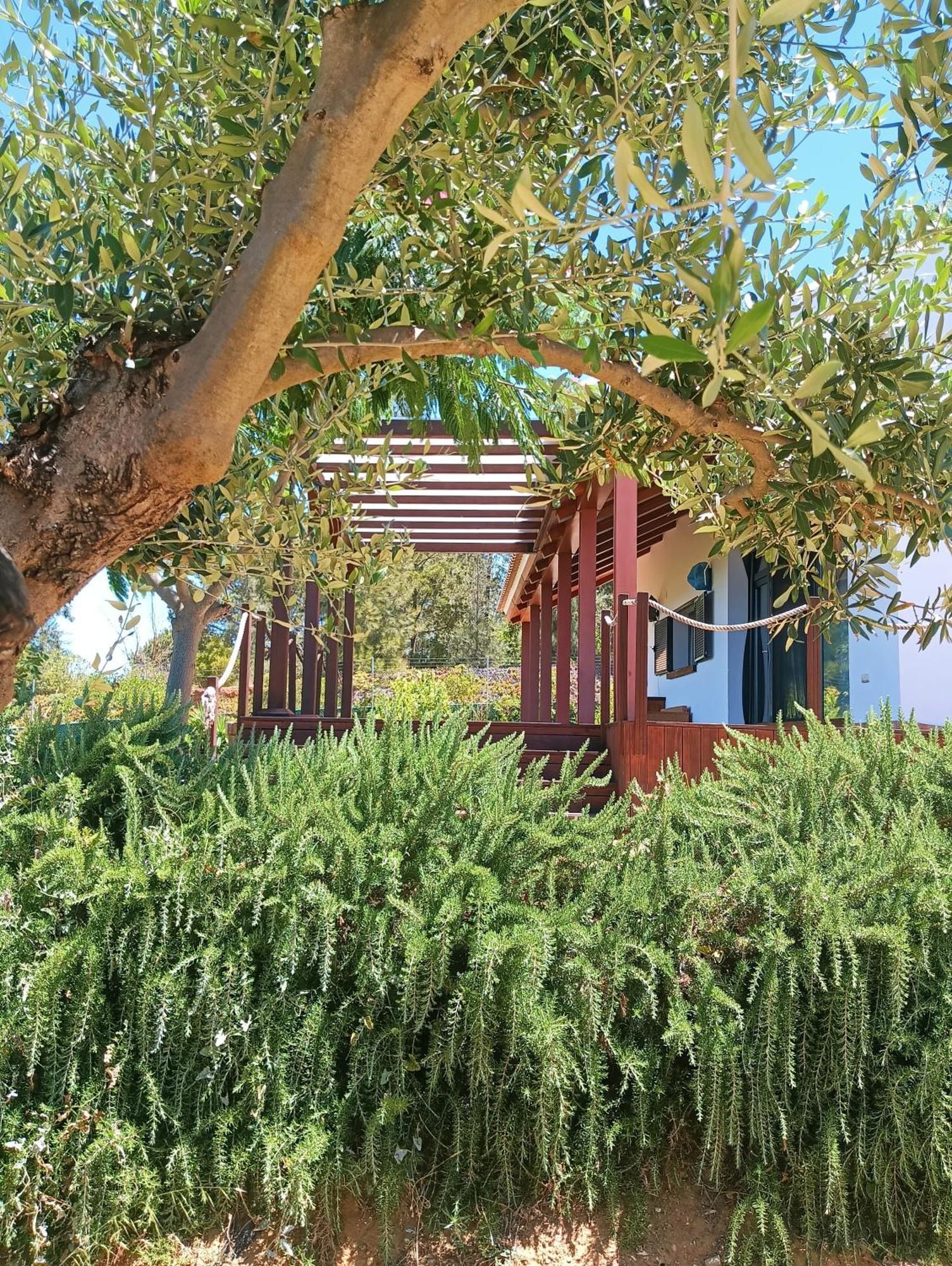 Finca Mis Morenas Palos de la Frontera Exterior foto